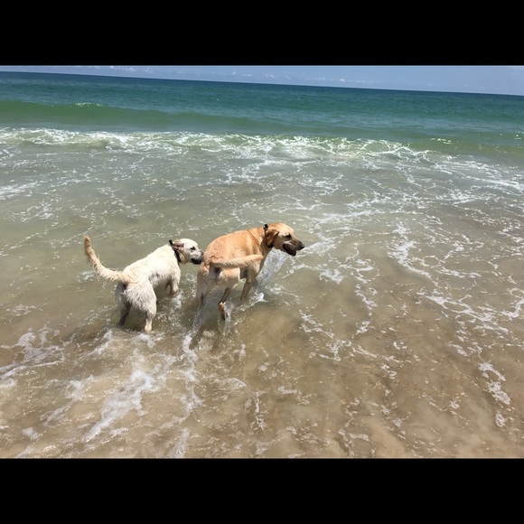 Hi! - Picture 4 of 5